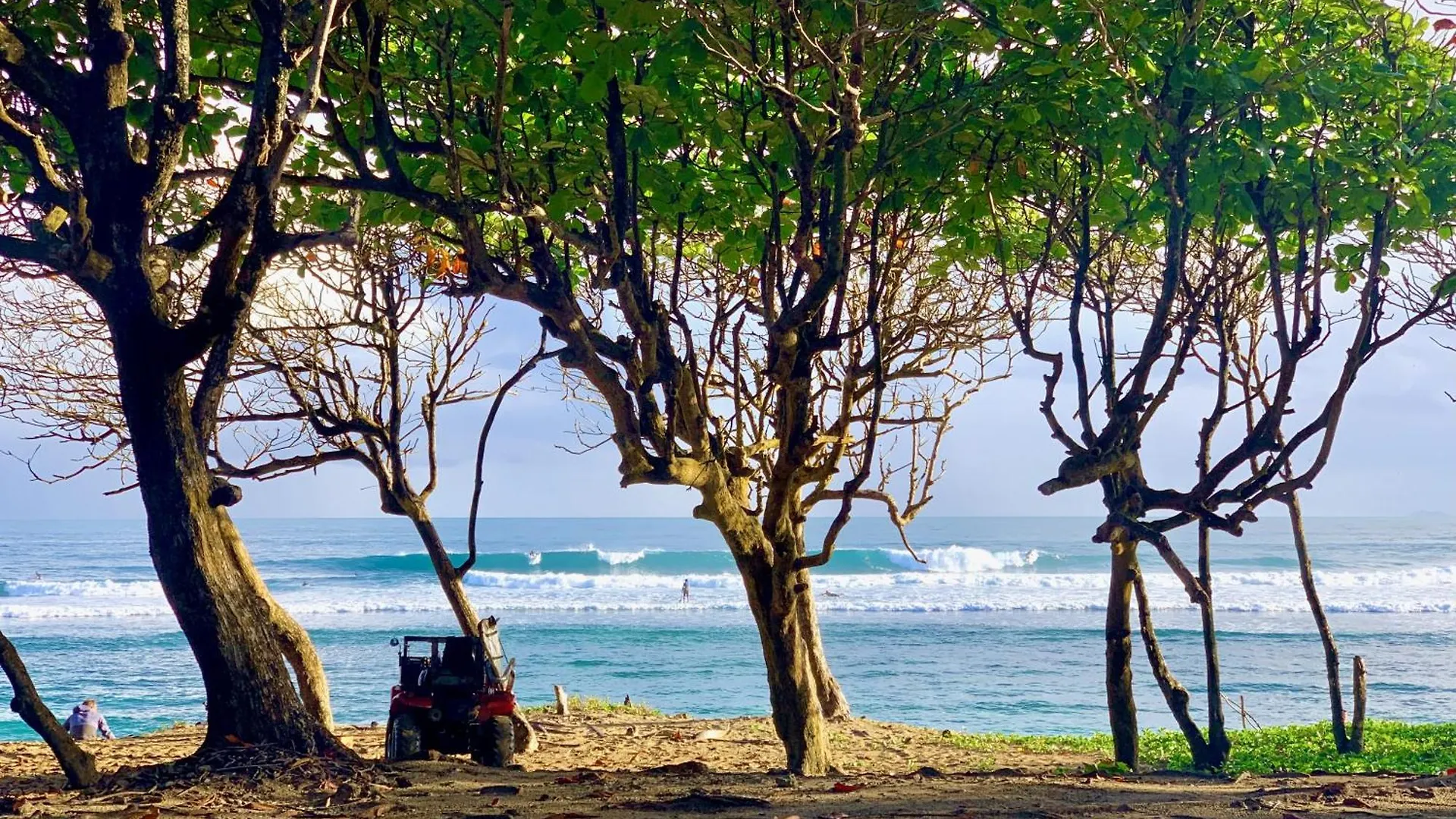 La Curadina - Encuentro Surf Resort كاباريتي 5*,  جمهورية الدومينيكان